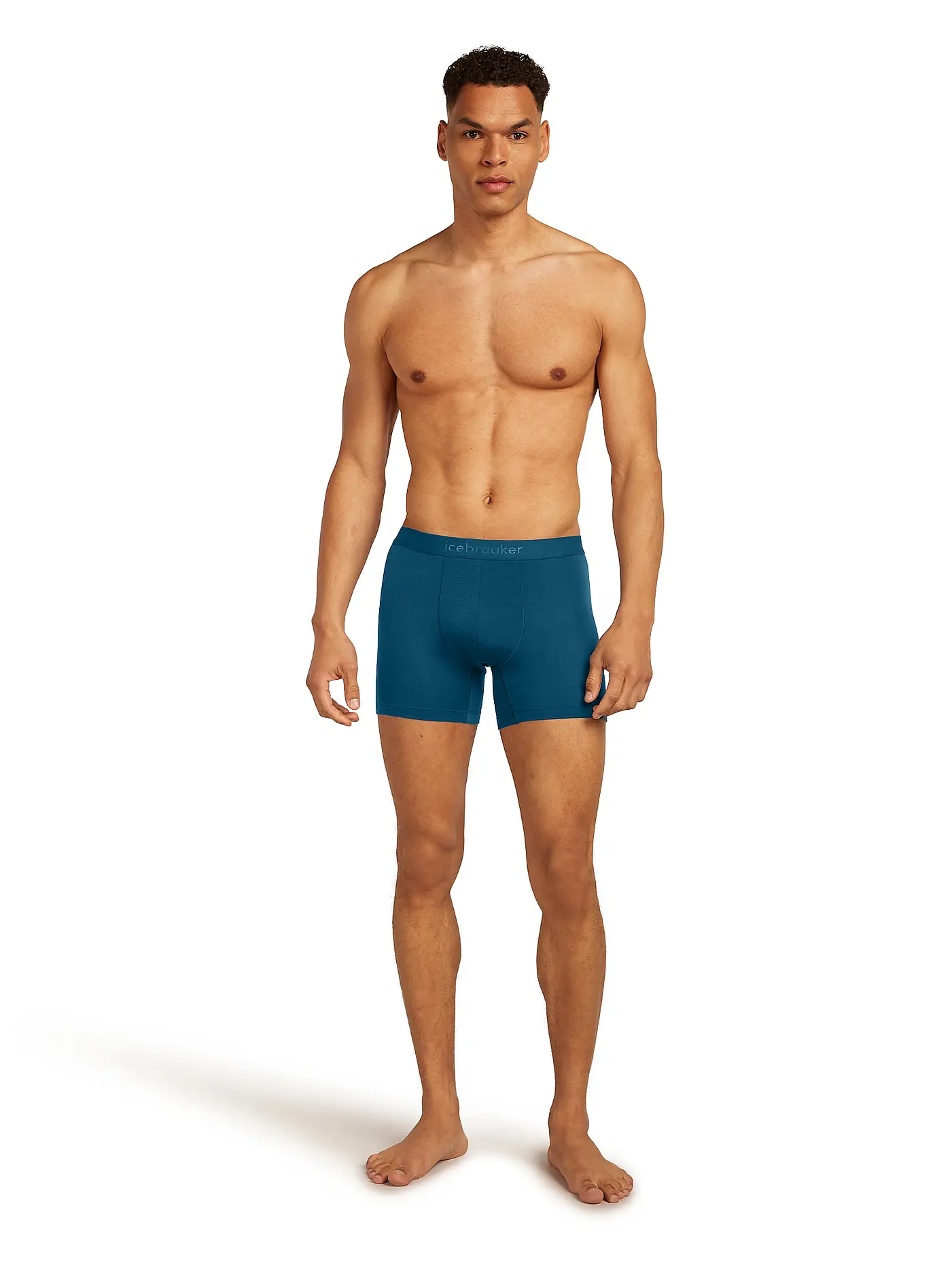 ICEBREAKER | Herren Boxershort Anatomica 125 Cool | 